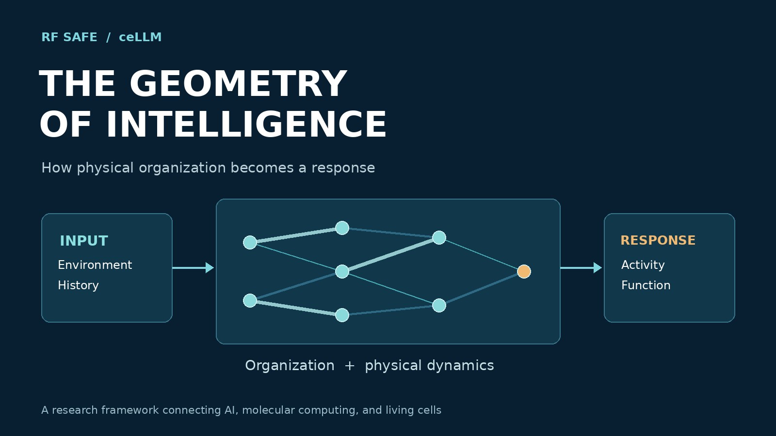 A schematic connects environmental input to organized interactions and then to a response.