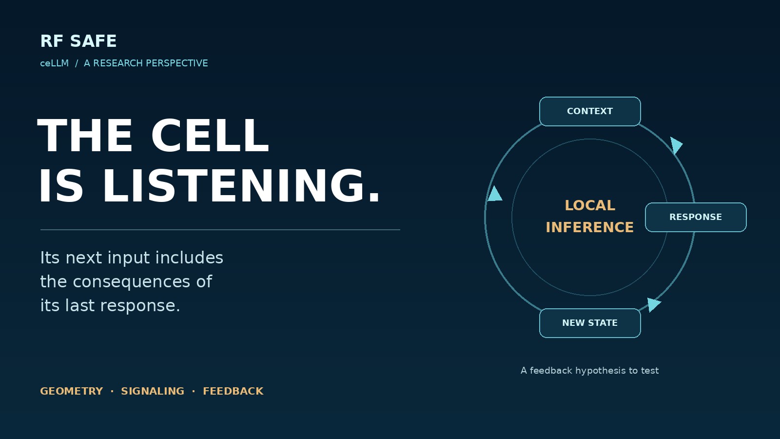 The cell is listening. Its next input includes the consequences of its last response. A conceptual loop connects context, response, and changed state.