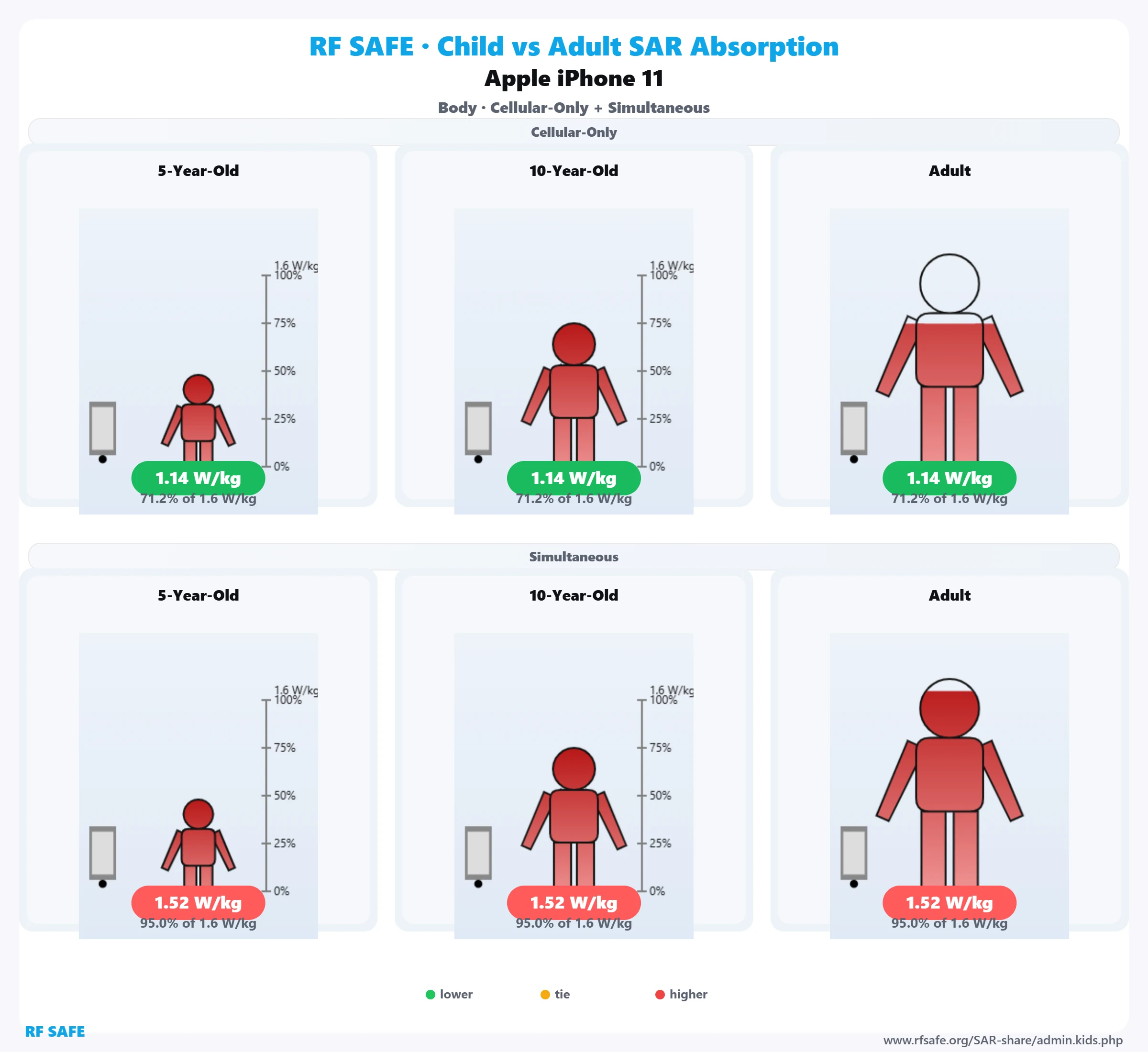 Apple iPhone 11 — body SAR child versus adult comparison